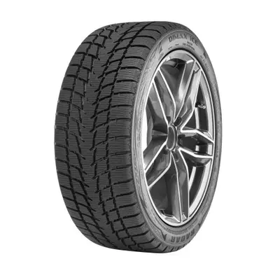 Anvelopă de iarnă Radar Dimax ICE 215/50R17 95T