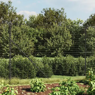 Gard plasa de sarma, antracit, 1,6x10 m, otel galvanizat