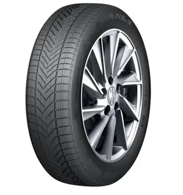 Anvelopă de iarnă Aptany RW645 215/65R16 102H