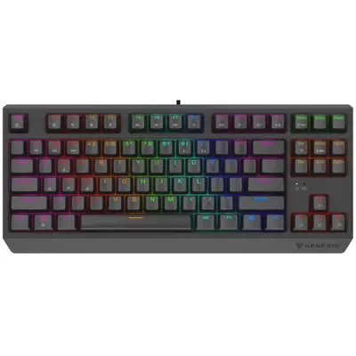 Genesis Tastatura gaming mecanica cu fir Genesis Thor 230 TKL Lite, iluminare multicolor, switch…