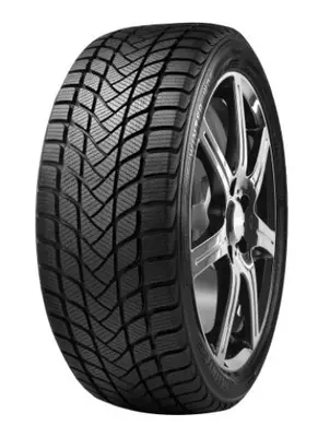 Anvelopă de iarnă Delinte WD6 205/55R17 95H