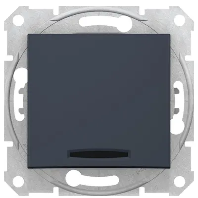 Intrerupator simplu 10AX cu indicator luminos Schneider Sedna SDN1400170, grafit