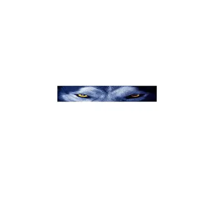 Abtibild parasolar parbriz sau luneta Cod: YH-01