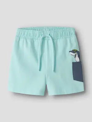 Pantaloni scurti Nmmfikz Nreg