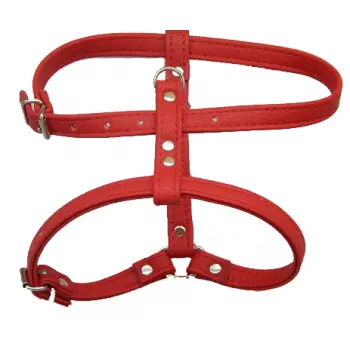 Ham Caini Enjoy Piele Eco, 20 mm