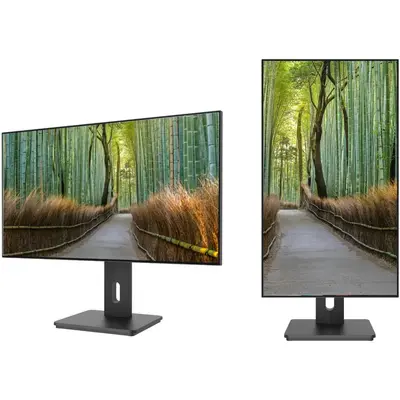 JAPANNEXT Monitor Japannext, 27 inch., IPS 4K UHD (3840 x 2160), HDR, Height & Tilt Adjustable…