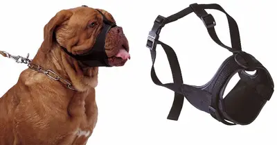 Ferplast Botnita Safe Boxer